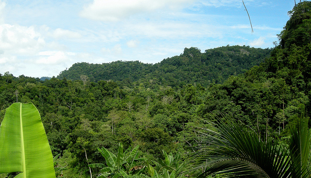 Tawi Tawi Island DU8/JA1PBV DU8/WK1S Tawi Tawi Island DU8/JA1PBV DU8/WK1S