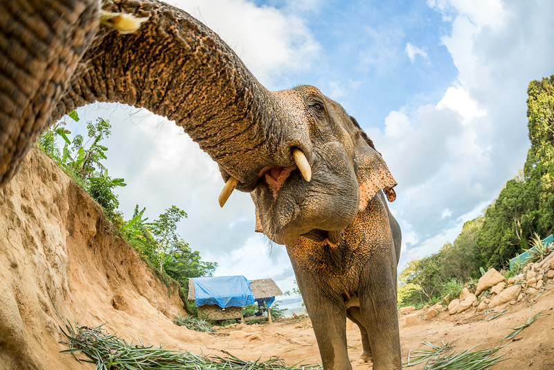 Thailand HS0ZKS Thailand HS0ZKS