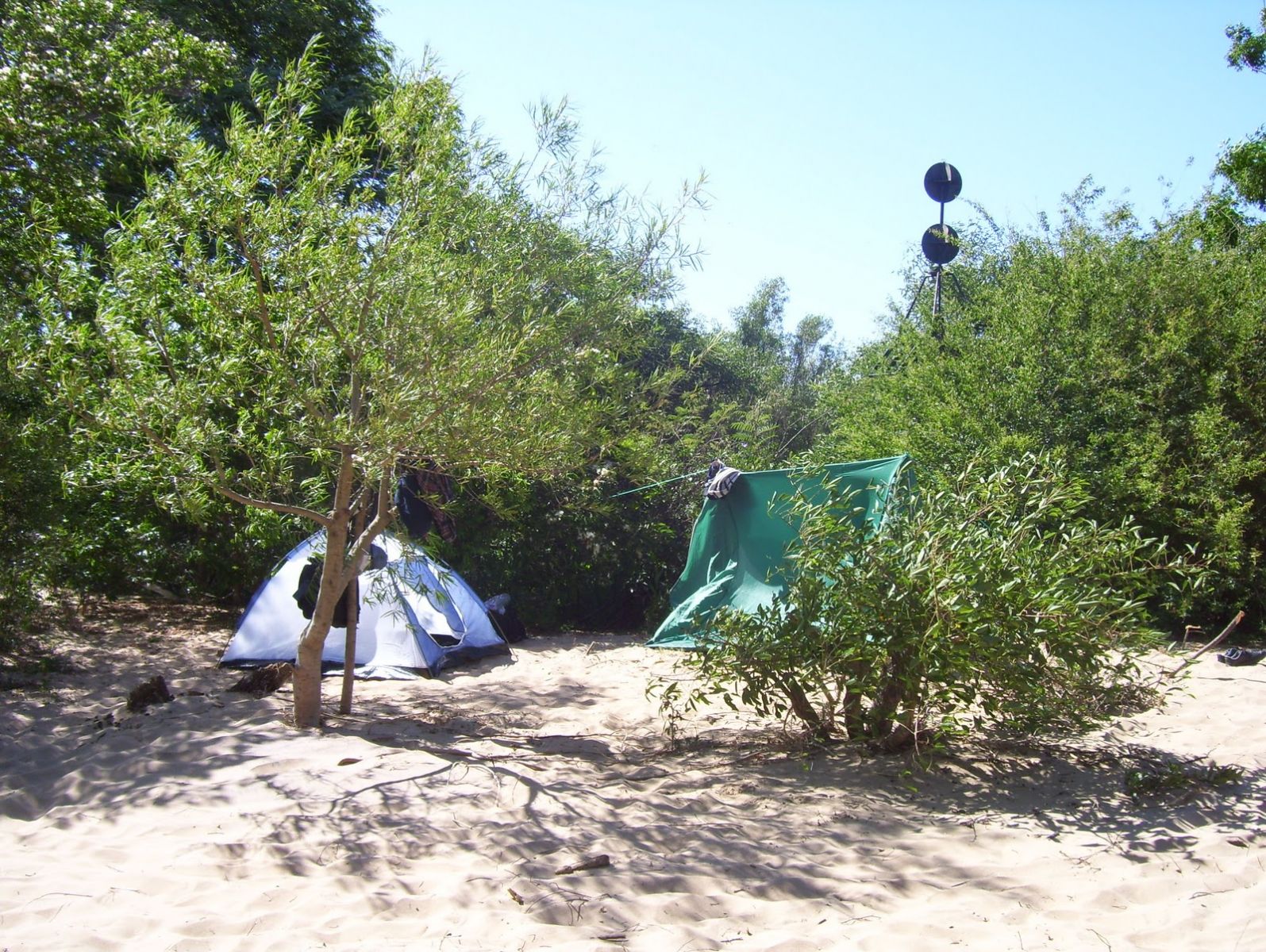 Timoteo Dominguez Island CW5F DX News  Timoteo Dominguez Island CW5F DX News