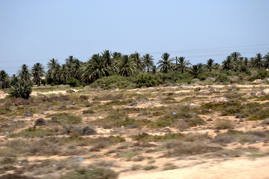 Tunisia 3V8/ON7HLU DX News Tunisia 3V8/ON7HLU DX News