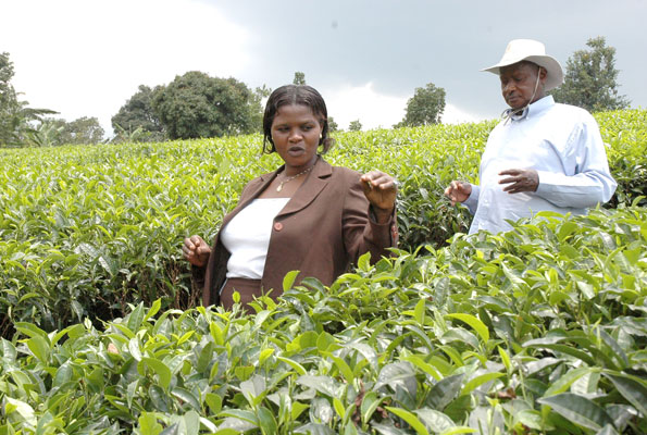 Uganda 5X0CW DX News