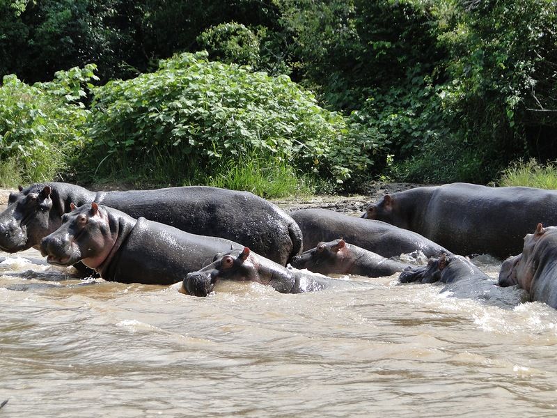 Uganda 5X1S  Uganda 5X1S