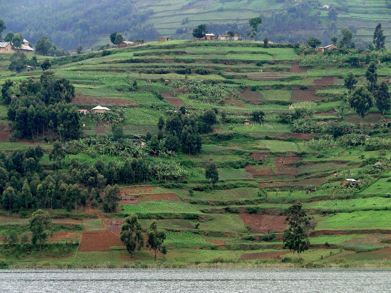 Uganda 5X1S DX News Uganda 5X1S DX News