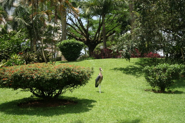 Уганда DX Новости 5X1NH 2011 Уганда DX Новости 5X1NH 2011