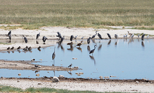 Namibia V51DM Namibia V51DM