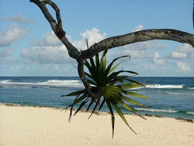 Vanuatu YJ0RK  Vanuatu YJ0RK