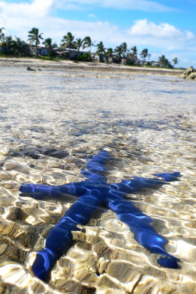 Viti Levu Island Fiji 3D2XB 3D2AS 3D2XC 3D2PT DX News Viti Levu Island Fiji 3D2XB 3D2AS 3D2XC 3D2PT DX News