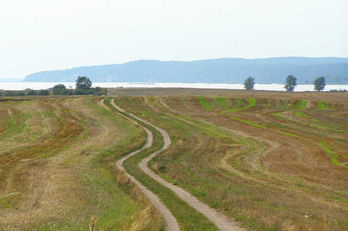 Isla Wolin