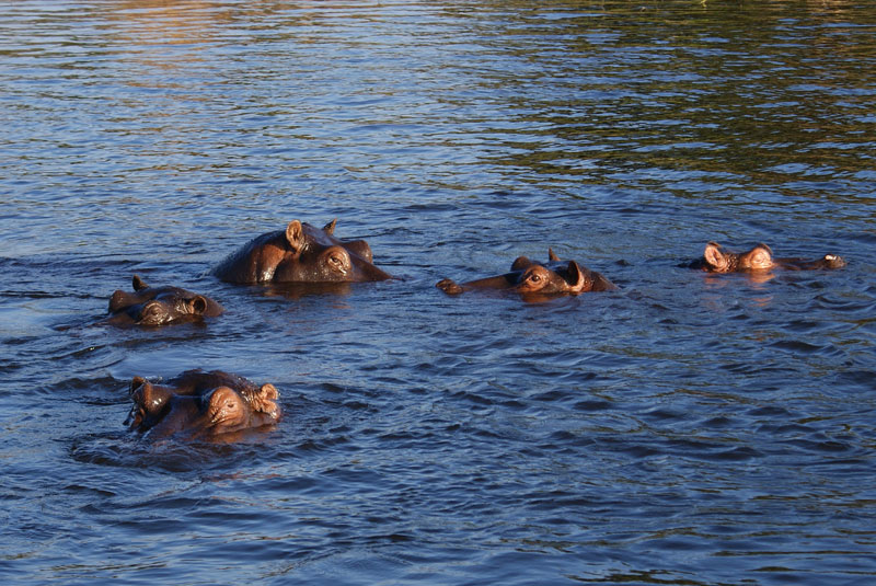 Zimbabwe Z22CW Zimbabwe Z22CW