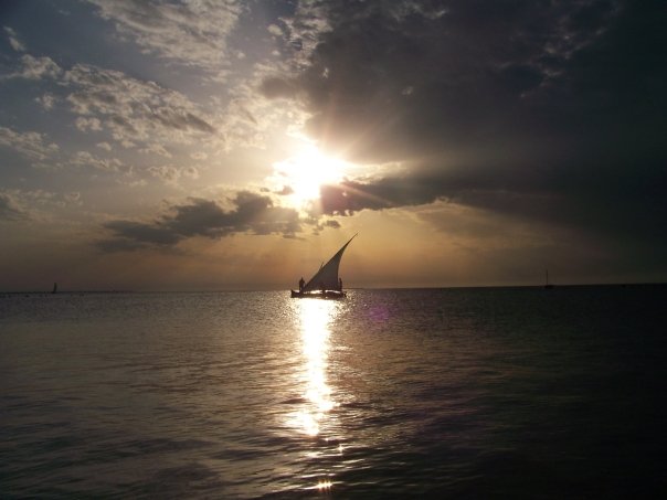  Kerkannah  3V8SS CQ WW DX SSB Contest 2009 DX 