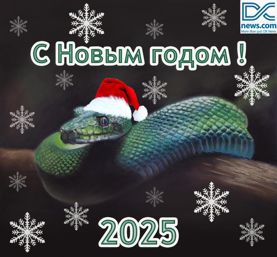С Новым 2025 Годом С Новым 2025 Годом