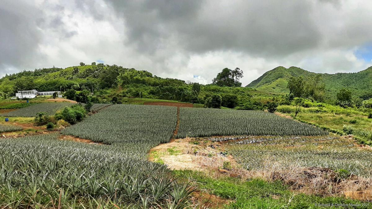 3B8/G0VJG Mauritius Island Tourist attractions spot 3B8/G0VJG Mauritius Island Tourist attractions spot