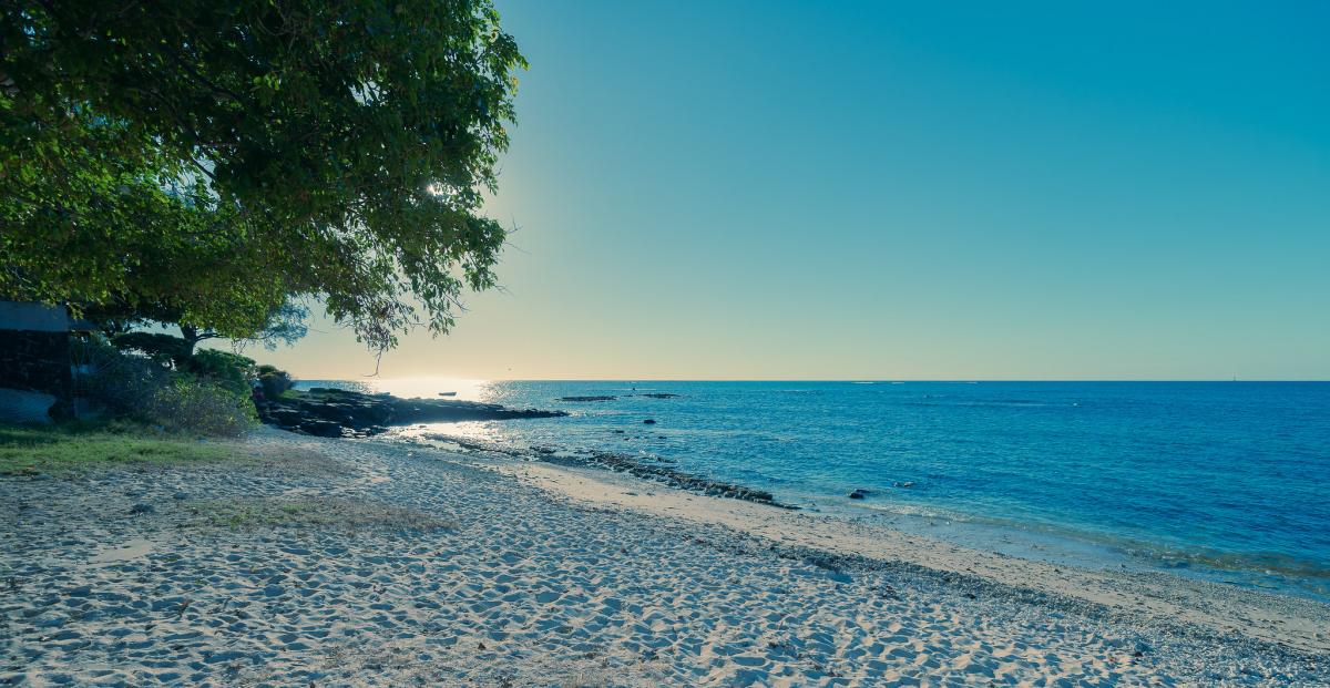 3B8/G0VJG Mauritius 3B8/G0VJG Mauritius