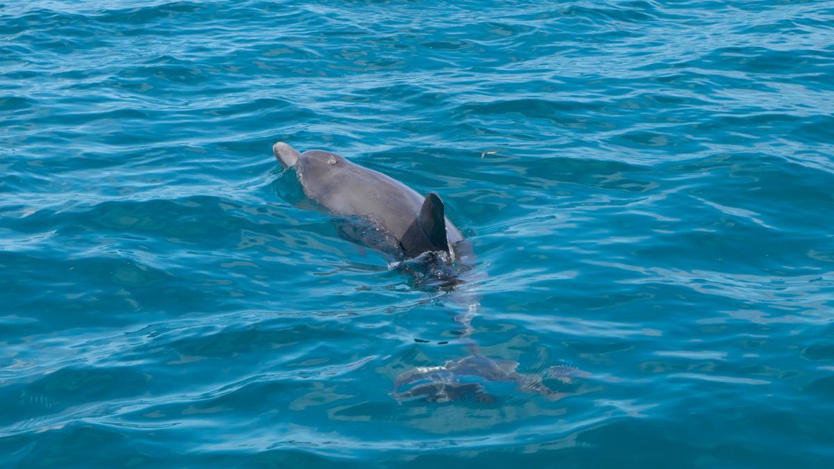 3B8X Mauritius Tourist attractions spot 3B8X Mauritius Tourist attractions spot