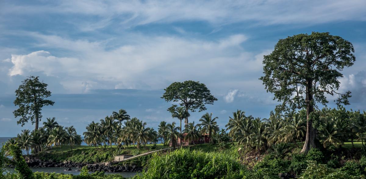 3C2MD Остров Биоко Экваториальная Гвинея 3C2MD Остров Биоко Экваториальная Гвинея