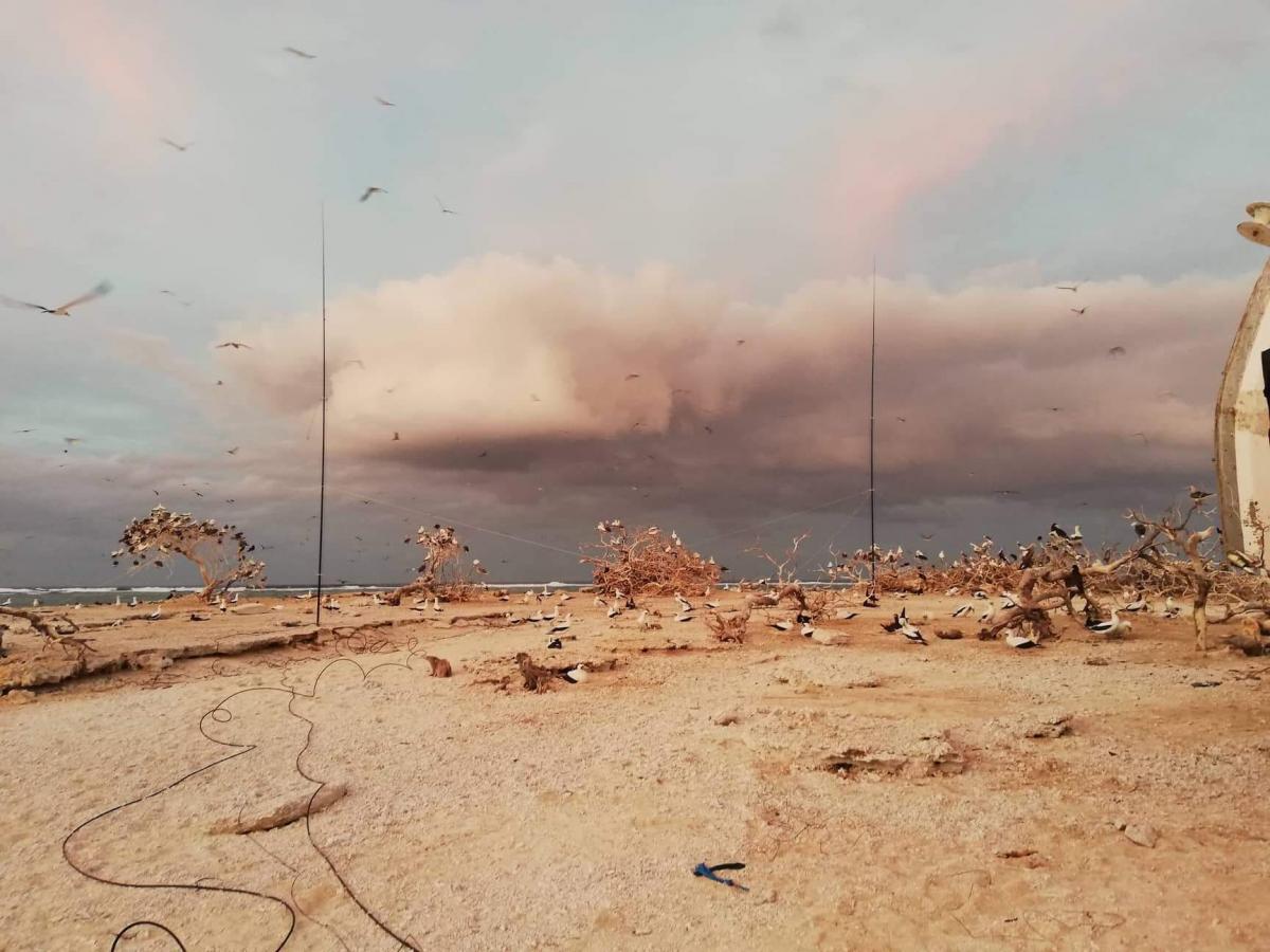 Conway Reef 9 June 2019 DX News 3D2CR Conway Reef 9 June 2019 DX News 3D2CR