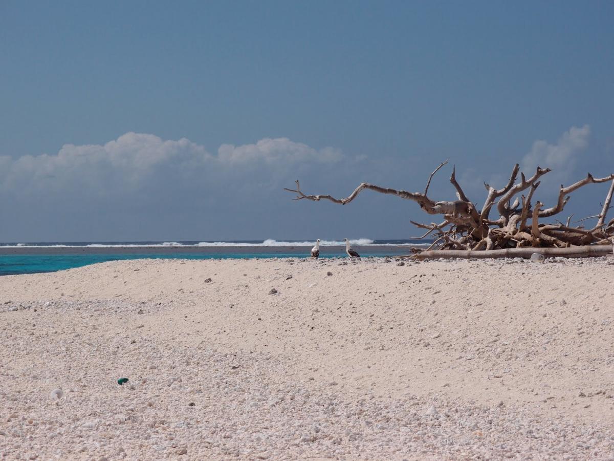 Conway Reef 3D2CR DX News 5 June 2019 Conway Reef 3D2CR DX News 5 June 2019