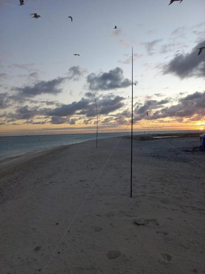 3D2CR Conway Reef Images 2021 Image 10 3D2CR Conway Reef Images 2021 Image 10