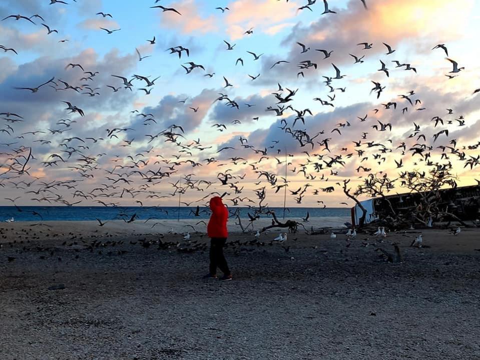3D2CR Conway Reef Images 2021 Image 11 3D2CR Conway Reef Images 2021 Image 11
