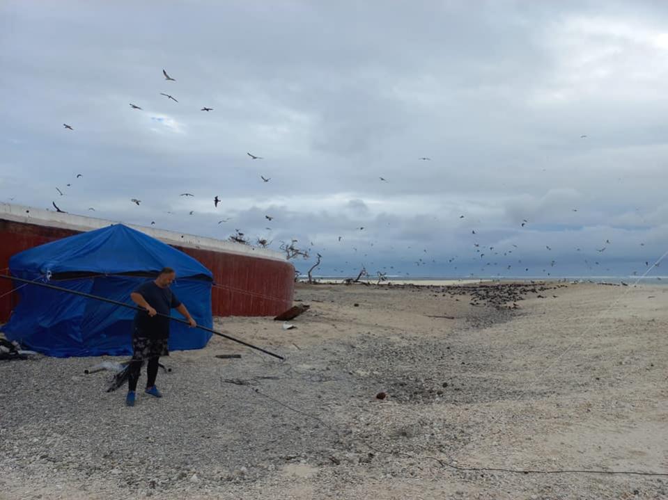 3D2CR Conway Reef Images Image 12 3D2CR Conway Reef Images Image 12