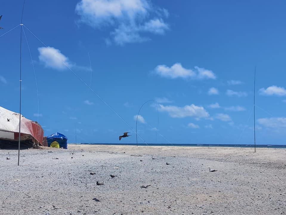 3D2CR Conway Reef Images 2021 Image 16 3D2CR Conway Reef Images 2021 Image 16