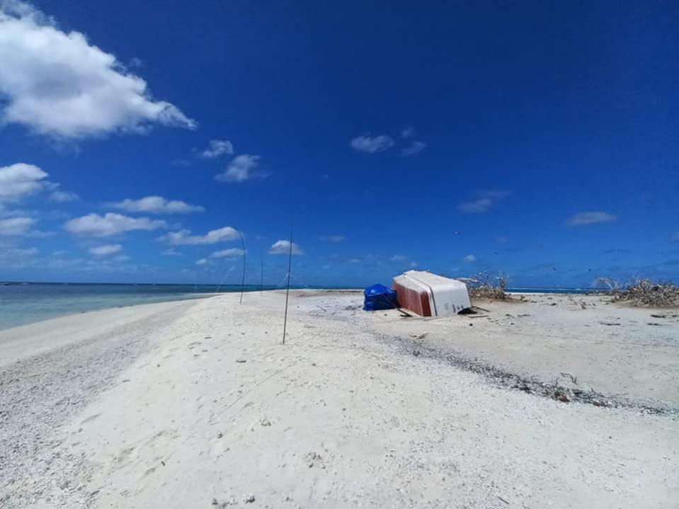 3D2CR Conway Reef Images 2021 Image 18 3D2CR Conway Reef Images 2021 Image 18