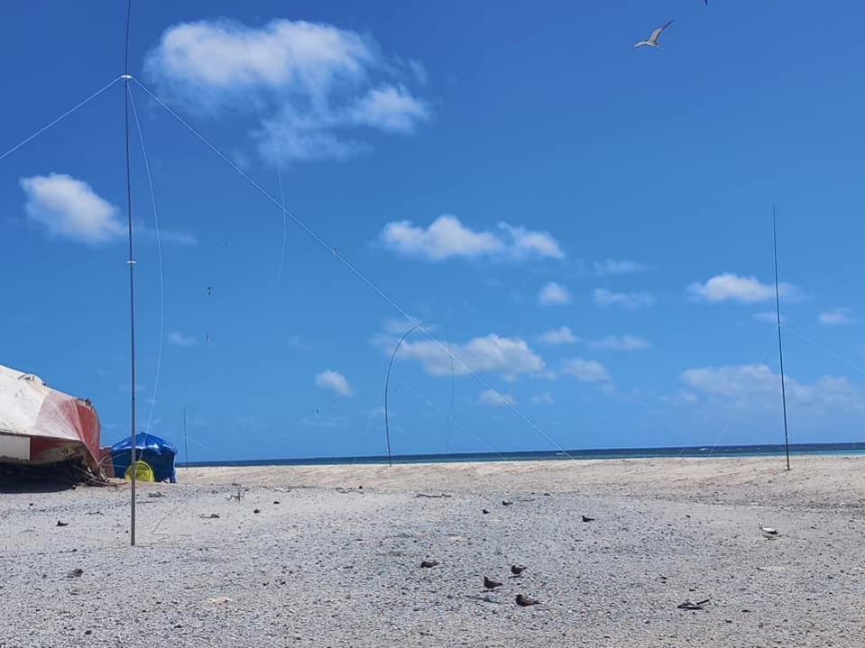 3D2CR Conway Reef Images 2021 Image 20 3D2CR Conway Reef Images 2021 Image 20