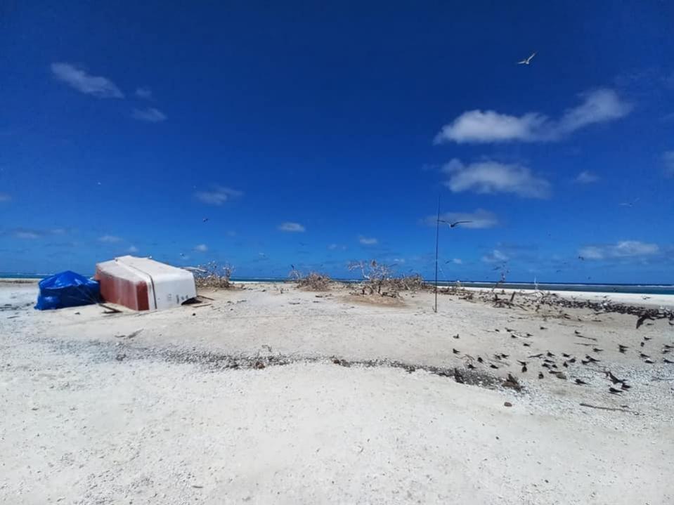 3D2CR Conway Reef Images 2021 Image 21 3D2CR Conway Reef Images 2021 Image 21