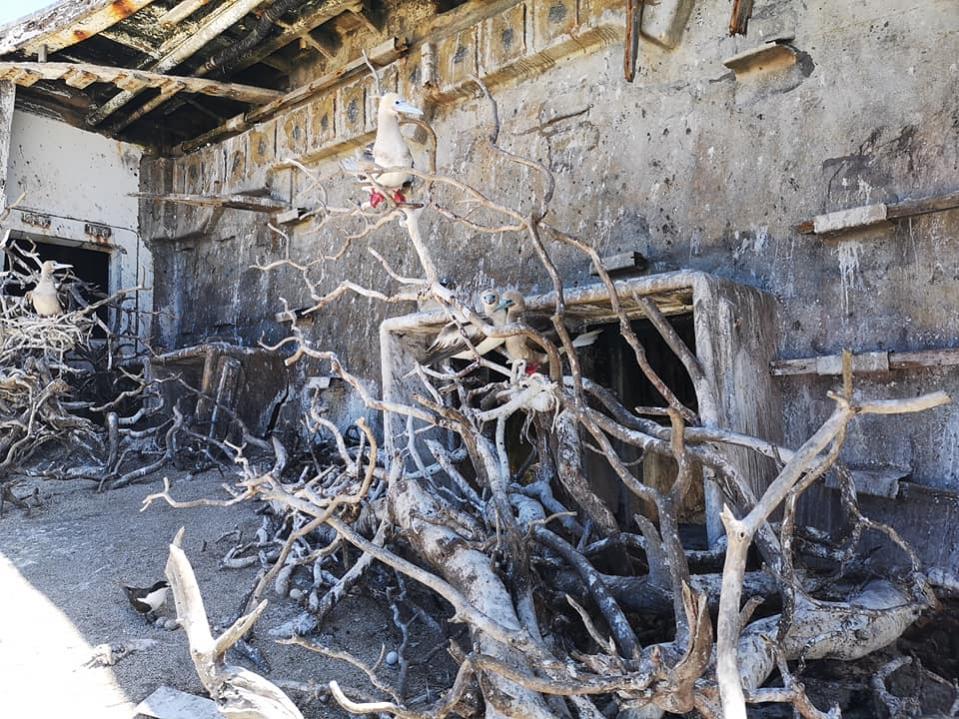 3D2CR Conway Reef Images 2021 Image 23 3D2CR Conway Reef Images 2021 Image 23