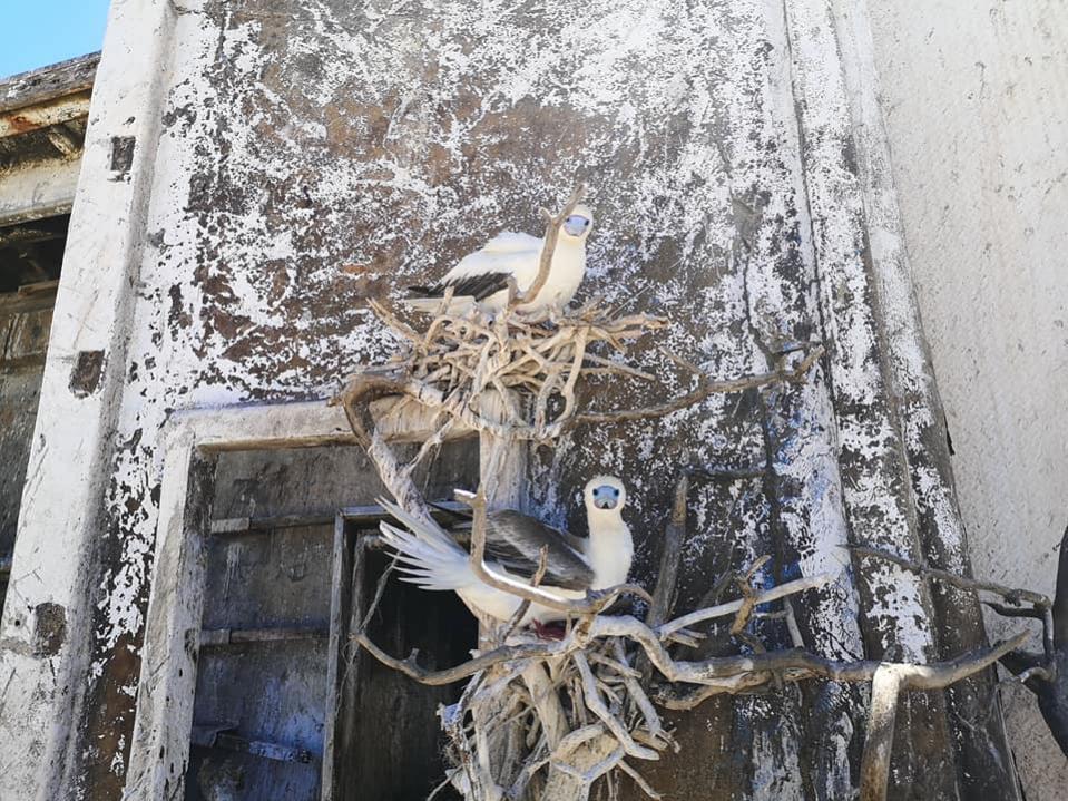 3D2CR Conway Reef Images 2021 Image 25 3D2CR Conway Reef Images 2021 Image 25