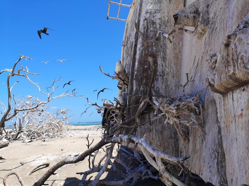 3D2CR Conway Reef Images 2021 Image 27 3D2CR Conway Reef Images 2021 Image 27