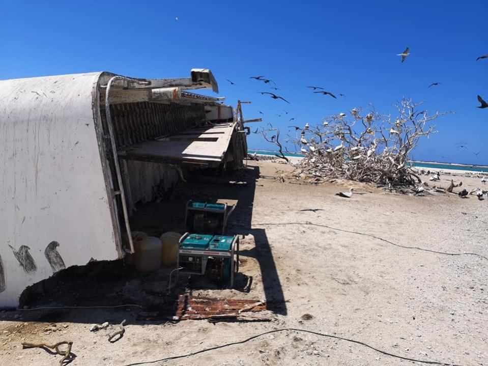 3D2CR Conway Reef Images 2021 Image 30 3D2CR Conway Reef Images 2021 Image 30