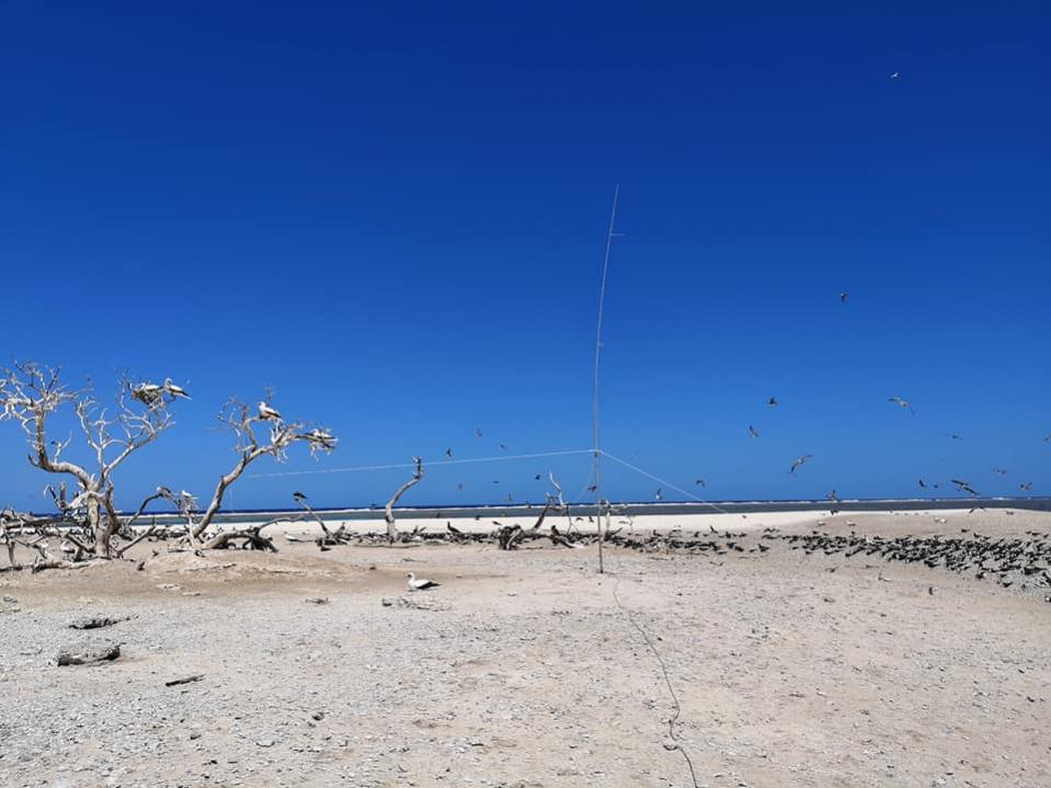 3D2CR Conway Reef Images 2021 Image 32 3D2CR Conway Reef Images 2021 Image 32