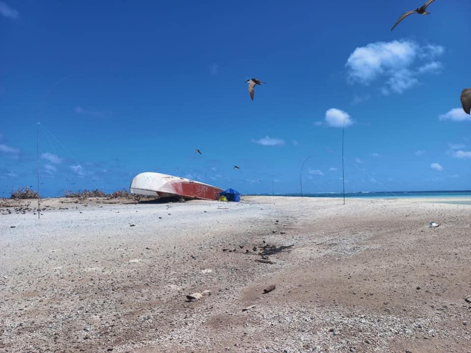 3D2CR Conway Reef Images 2021 Image 5 3D2CR Conway Reef Images 2021 Image 5