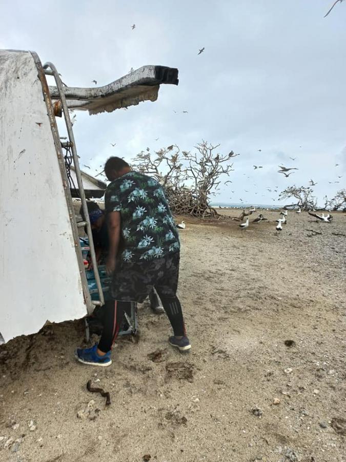 3D2CR Conway Reef Images 2021 Image 6 3D2CR Conway Reef Images 2021 Image 6