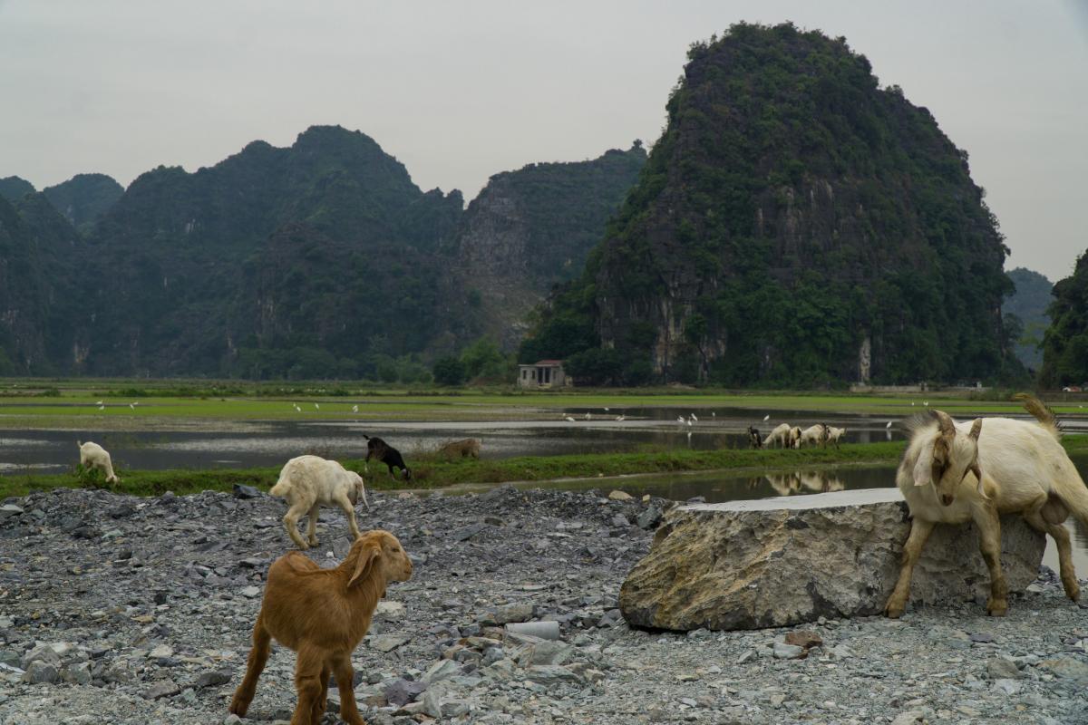 3W9DLE Vietnam Tourist attractions spot 3W9DLE Vietnam Tourist attractions spot