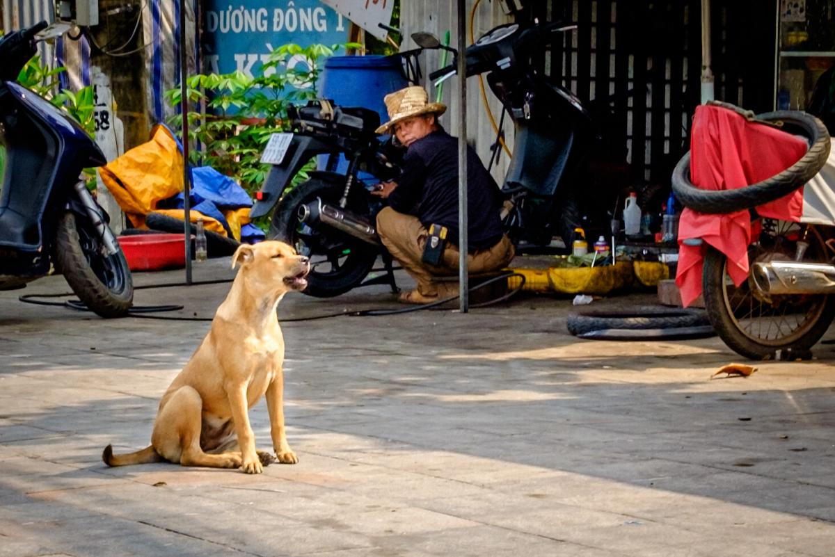 3W9FAR Вьетнам Туристические достопримечательности 3W9FAR Вьетнам Туристические достопримечательности