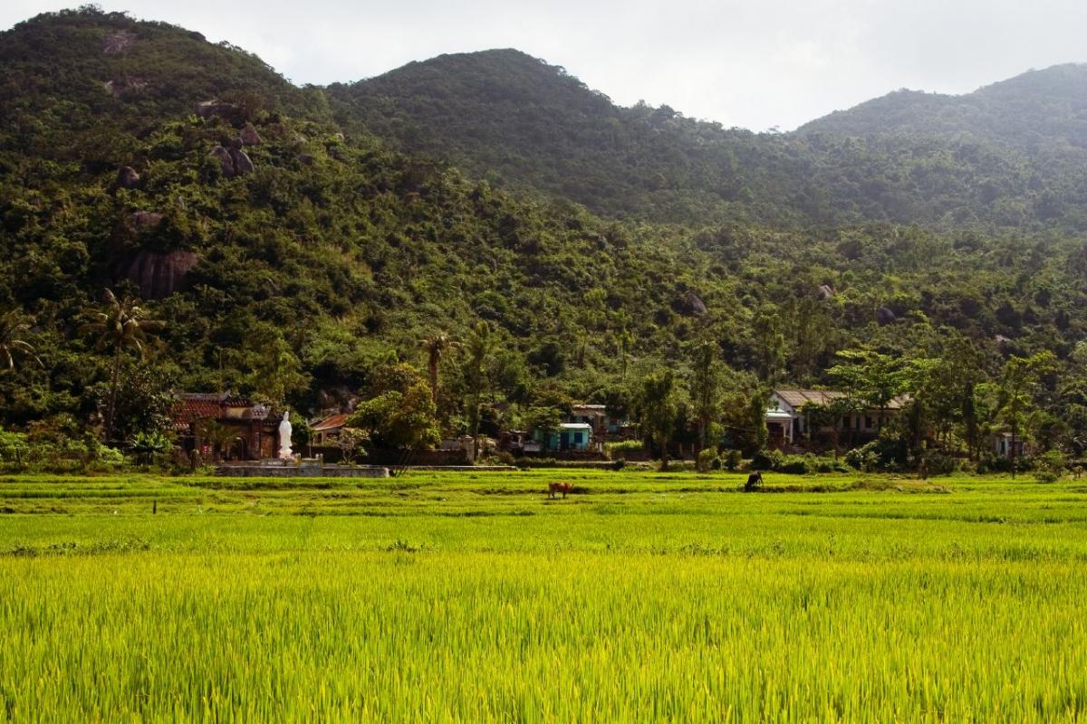 3W9JK/P 3W9JK Cham Island, Vietnam DX News