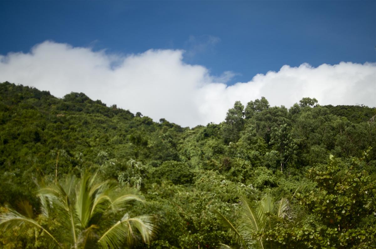 3W9JK/P 3W9JK Cham Island, Vietnam Tourist attractions spot