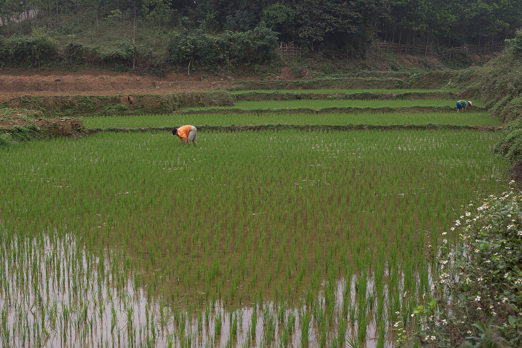 3W9NH Вьетнам Туристические достопримечательности 3W9NH Вьетнам Туристические достопримечательности