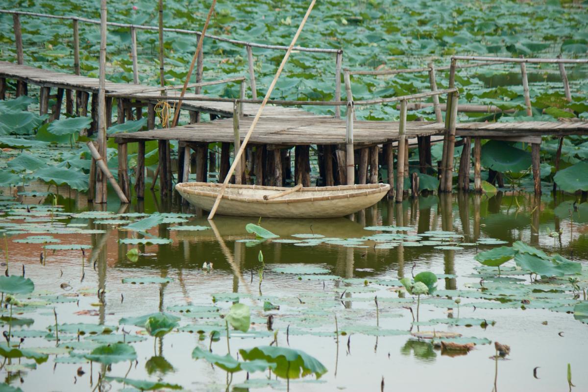 Noticias de DX de Vietnam 3W9T