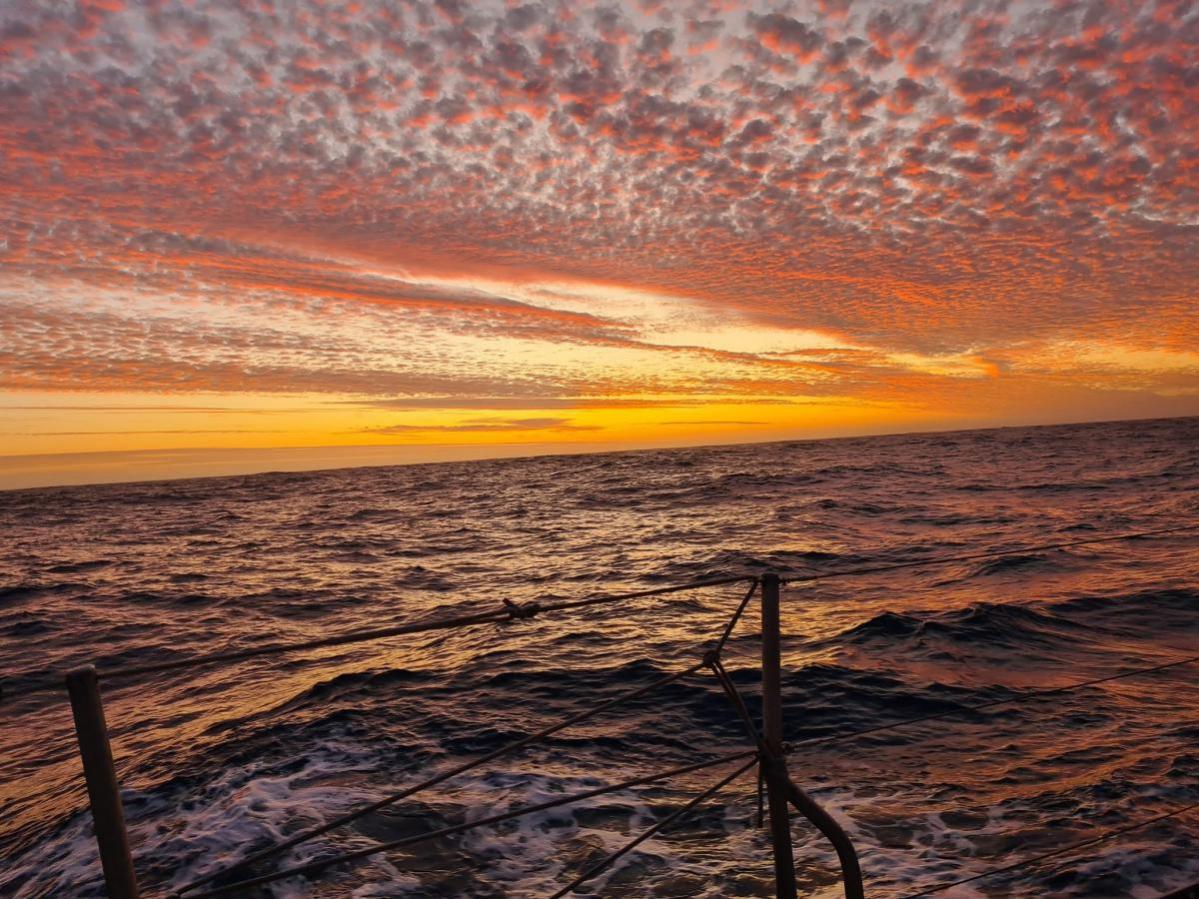 3Y0J Bouvet Island News 19 January 2023