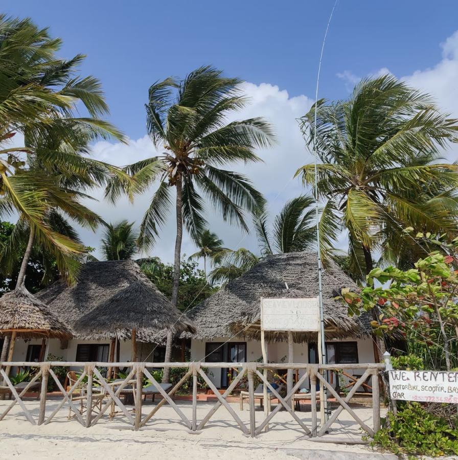 5H1IP Zanzibar Island News 22 September 2021 5H1IP Zanzibar Island News 22 September 2021