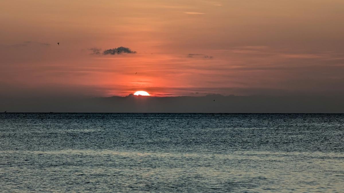 5H1UM Zanzibar Island DX News 5H1UM Zanzibar Island DX News