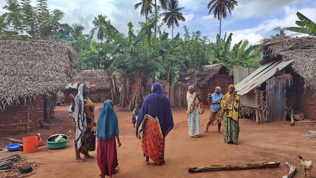 5H1UM Zanzibar Island 5H1UM Zanzibar Island