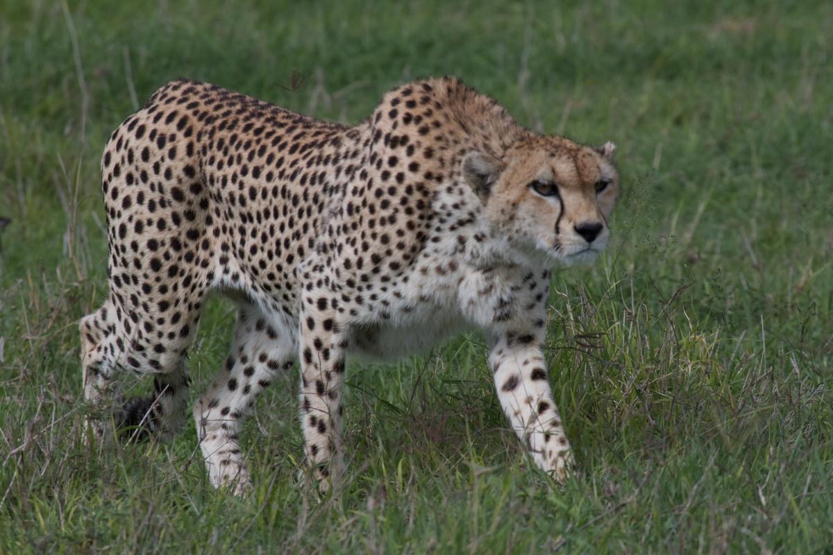 5H3AX Tanzania Tourist attractions spot 5H3AX Tanzania Tourist attractions spot