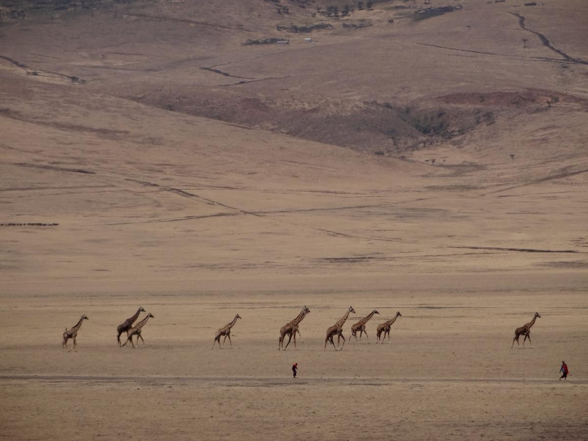 5H/ON5PF Tanzania Tourist attractions spot 5H/ON5PF Tanzania Tourist attractions spot