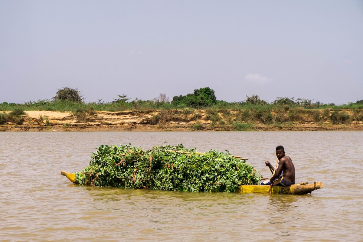 5R8VX 5R8KU Мадагаскар 5R8VX 5R8KU Мадагаскар