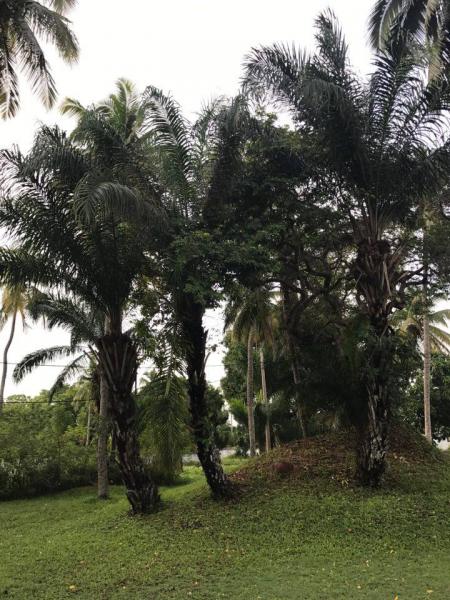 5V7P Того Новости 21 апреля 2017 Фото 4 5V7P Того Новости 21 апреля 2017 Фото 4