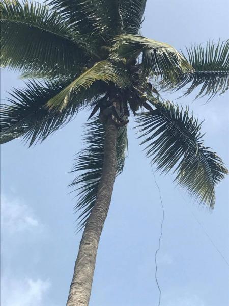 5V7P Togo News 23 April 2017 Image 3 5V7P Togo News 23 April 2017 Image 3